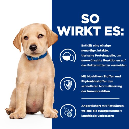 Hill's Derm Complete Puppy - Hund