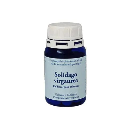 PowerVet Goldrute - Solidago virgaurea - Powervet - Marigin AG Onlineshop für Tierbedarf PowerVet Goldrute - Solidago virgaurea - 50 Stück Ergänzungsfuttermittel