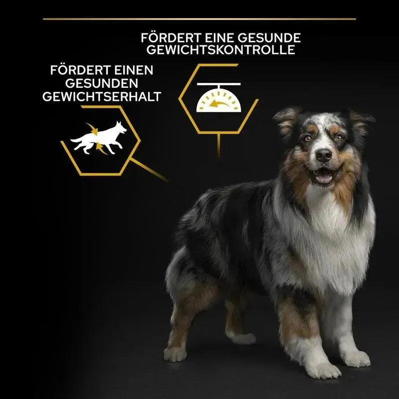 Purina All Sizes Adult Light / Sterilised - Hund - Purina ProPlan - Marigin AG Onlineshop für Tierbedarf Purina All Sizes Adult Light / Sterilised - Hund - 3kg Futter