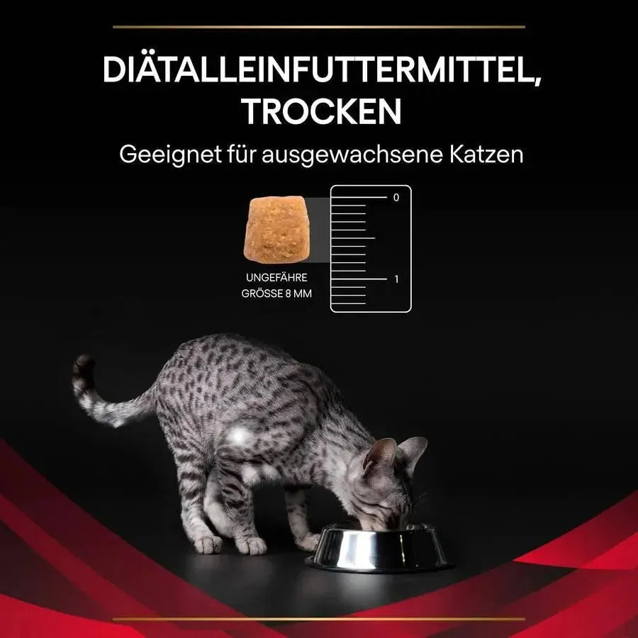 Purina DM Diabetes Management - Katze - Purina Veterinary Diets - Marigin AG Onlineshop für Tierbedarf Purina DM Diabetes Management - Katze - 1 x 1.5 kg Futter