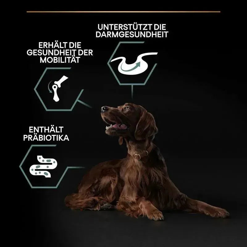 Purina Large Athletic Adult Sensitive Digestion - Hund - Purina ProPlan - Marigin AG Onlineshop für Tierbedarf Purina Large Athletic Adult Sensitive Digestion - Hund - Lamm & Reis / 1 x 14 kg Futter
