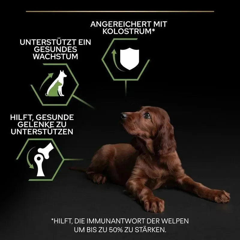 Purina Large Athletic Puppy <2 Healthy Start - Hund - Purina ProPlan - Marigin AG Onlineshop für Tierbedarf Purina Large Athletic Puppy <2 Healthy Start - Hund - Huhn / 1 x 3 kg Futter
