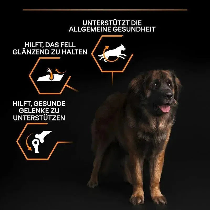 Purina Large Robust Adult Everyday Nutrition - Hund - Purina ProPlan - Marigin AG Onlineshop für Tierbedarf Purina Large Robust Adult Everyday Nutrition - Hund - Huhn / 1 x 14 kg Futter