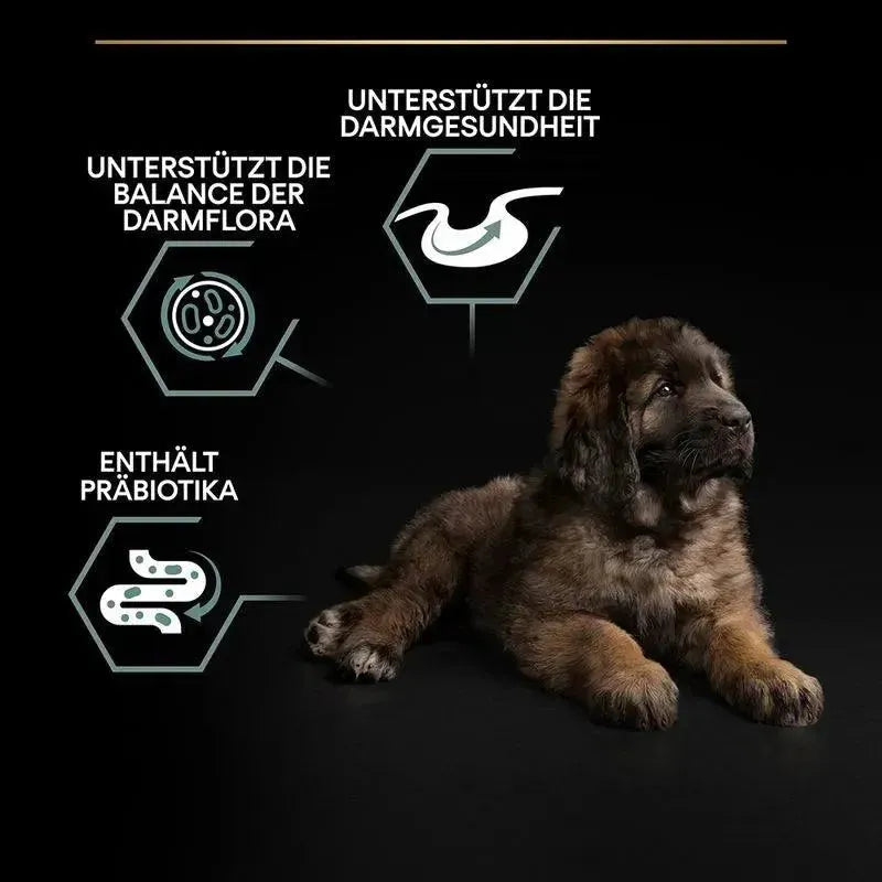 Purina Large Robust Adult Sensitive Skin - Hund - Purina ProPlan - Marigin AG Onlineshop für Tierbedarf Purina Large Robust Adult Sensitive Skin - Hund - Lamm / 1 x 14kg Futter