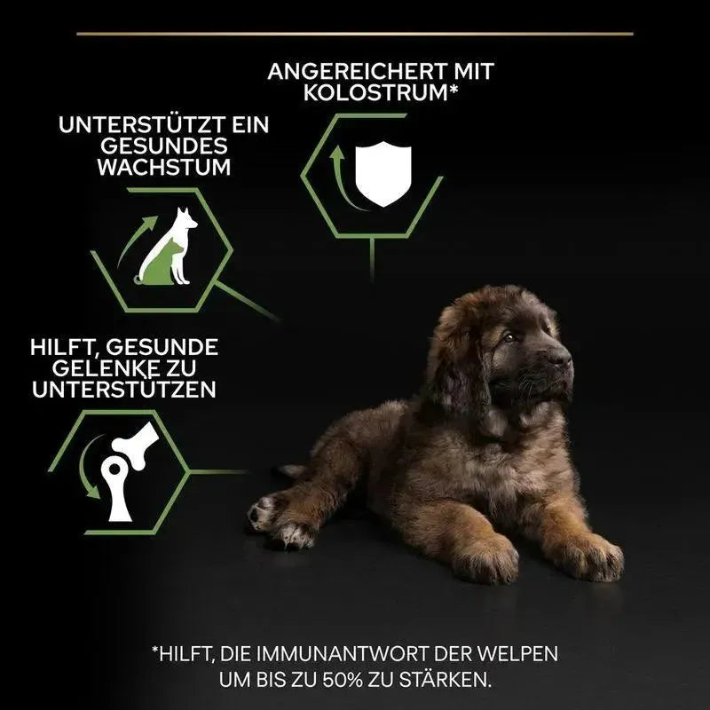 Purina Large Robust Puppy Healthy Start - Hund - Purina ProPlan - Marigin AG Onlineshop für Tierbedarf Purina Large Robust Puppy Healthy Start - Hund - Huhn / 1 x 3 kg Futter