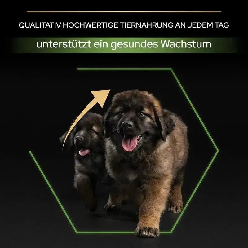 Purina Large Robust Puppy Healthy Start - Hund - Purina ProPlan - Marigin AG Onlineshop für Tierbedarf Purina Large Robust Puppy Healthy Start - Hund - Huhn / 1 x 3 kg Futter
