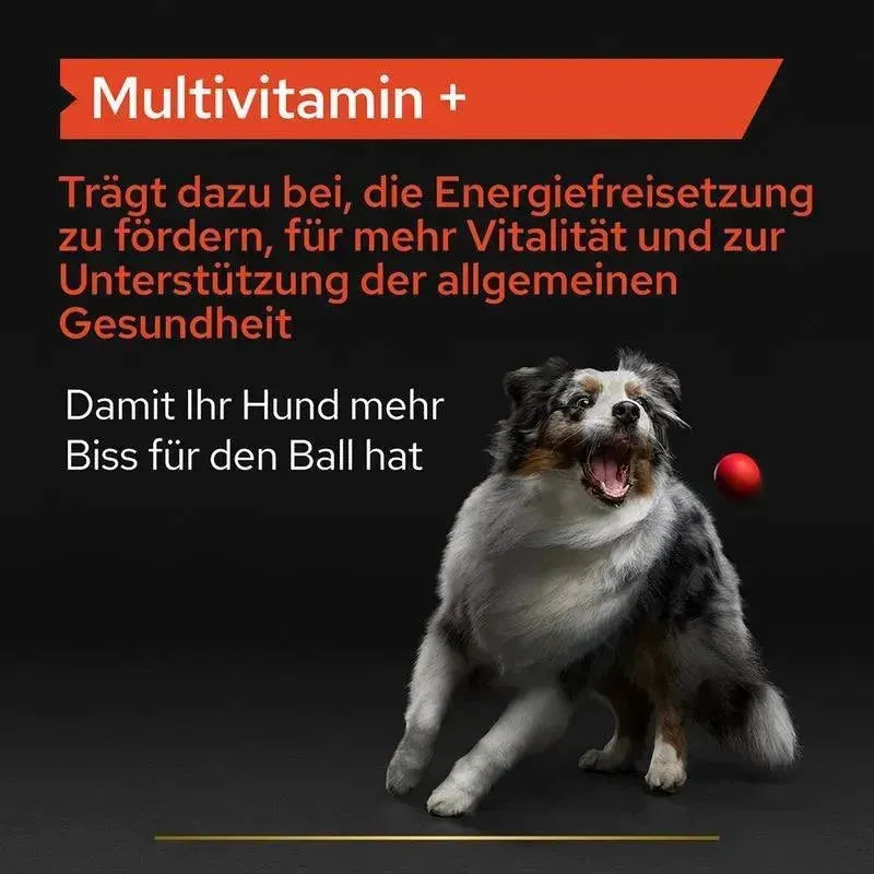 Purina Multivitamins + Hund - Tabletten - Purina ProPlan - Marigin AG Onlineshop für Tierbedarf Purina Multivitamins + Hund - Tabletten - Tabletten / 1 x 45 st. Ergänzungsfuttermittel