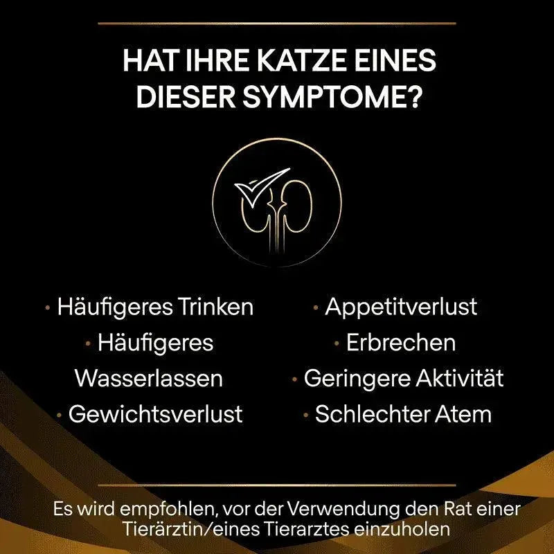 Purina NF Renal Function Advanced Care Katze - Dose/Mousse - Purina Veterinary Diets - Marigin AG Onlineshop für Tierbedarf Purina NF Renal Function Advanced Care Katze - Dose/Mousse - 1 x 195g Futter