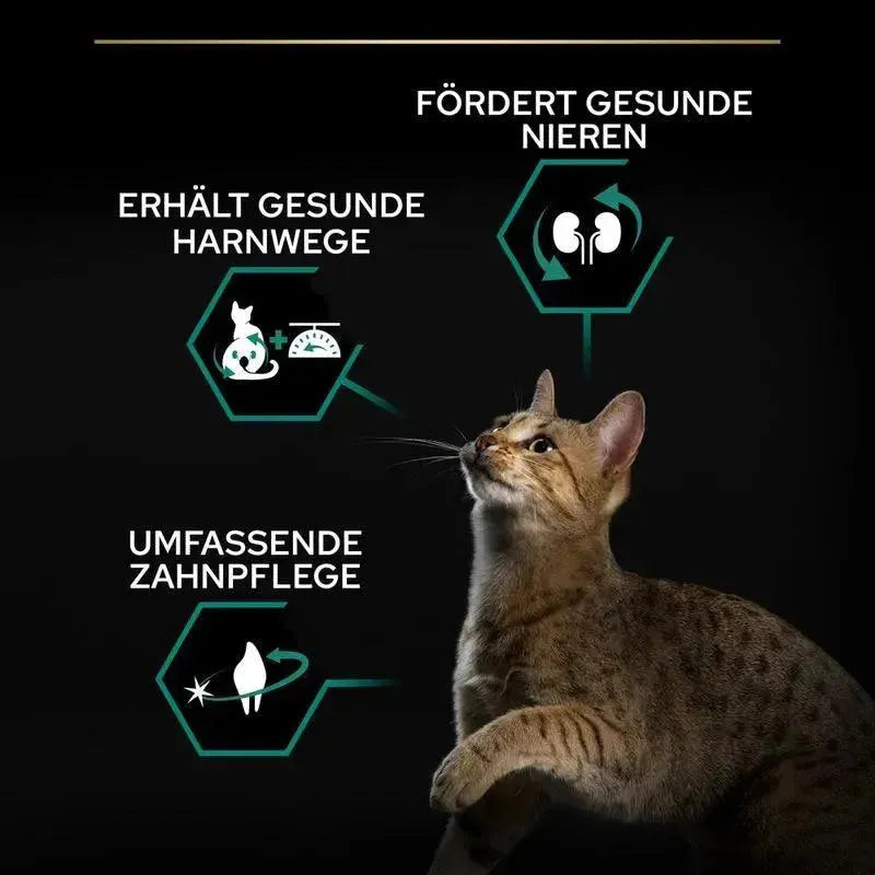 Purina Sterilised Renal Plus Adult Katze - Truthahn - Purina ProPlan - Marigin AG Onlineshop für Tierbedarf Purina Sterilised Renal Plus Adult Katze - Truthahn - Truthahn / 3kg Futter