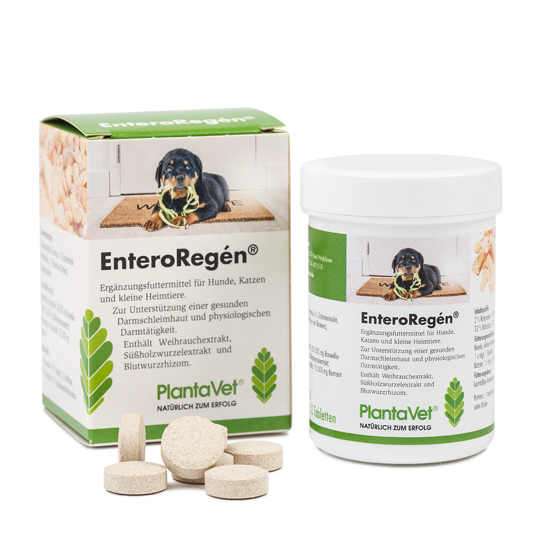 EnteroRegén Tabletten - Katze/Hund