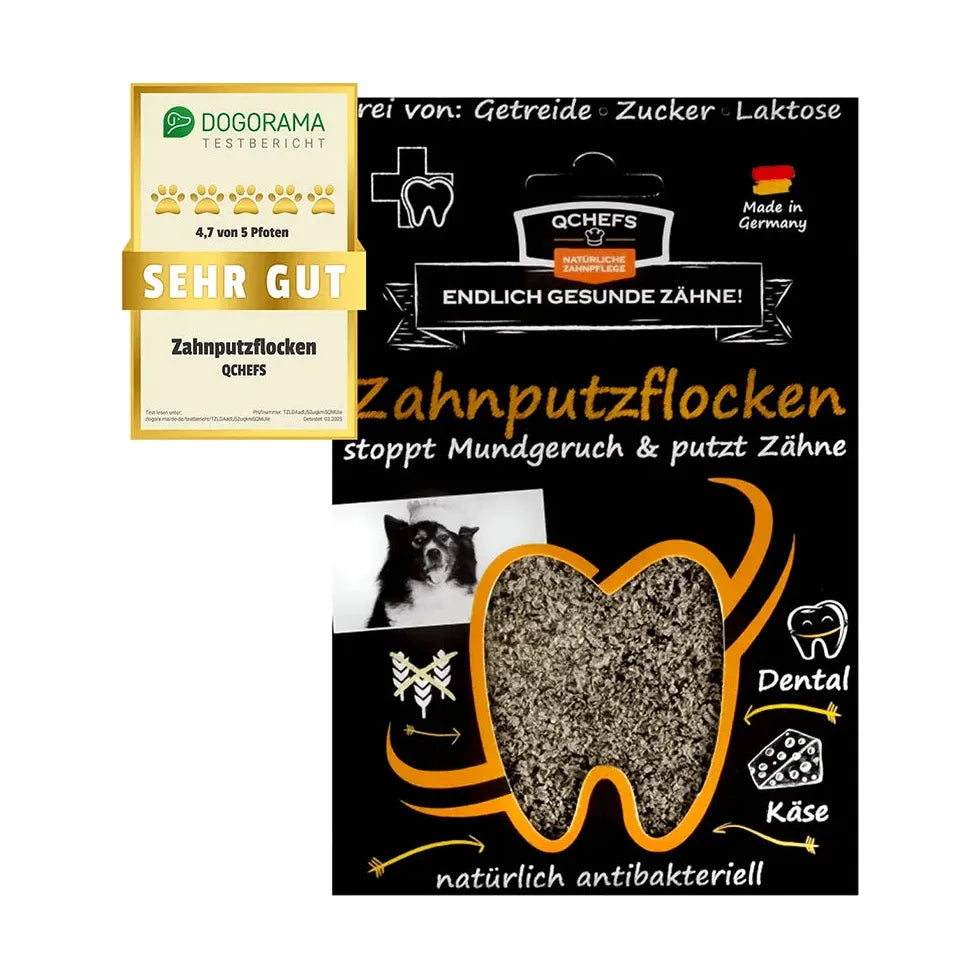 Zahnputzflocken - Hund