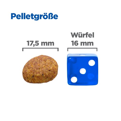 Hill's Multi-Benefit + Weight Adult 1+ Large - Hund