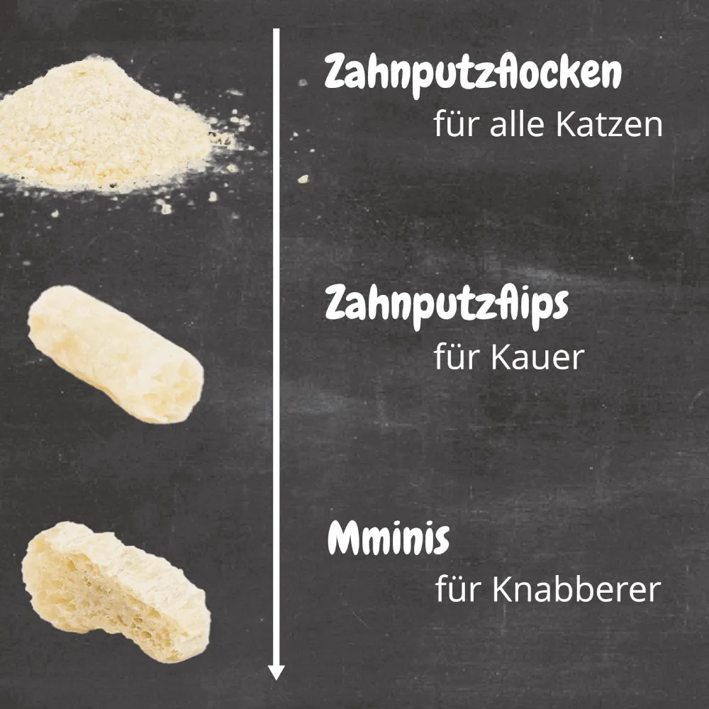 Zahnputzflocken - Katze