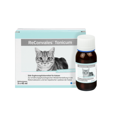 ReConvales Tonicum - Katze