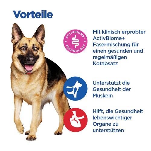 Hill's Multi-Benefit + Digestion Adult 1+ Large - Hund