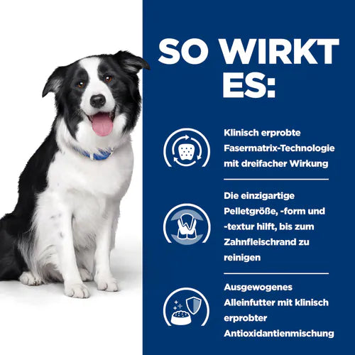 Hill's t/d Dental Care - Hund