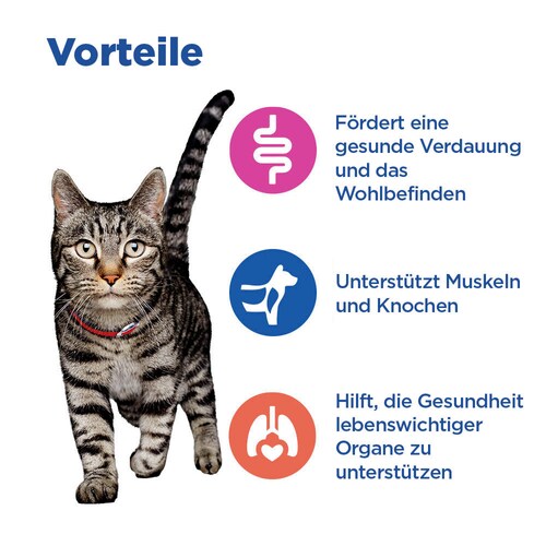 Hill's Multi-Benefit Adult Katze - Beutel