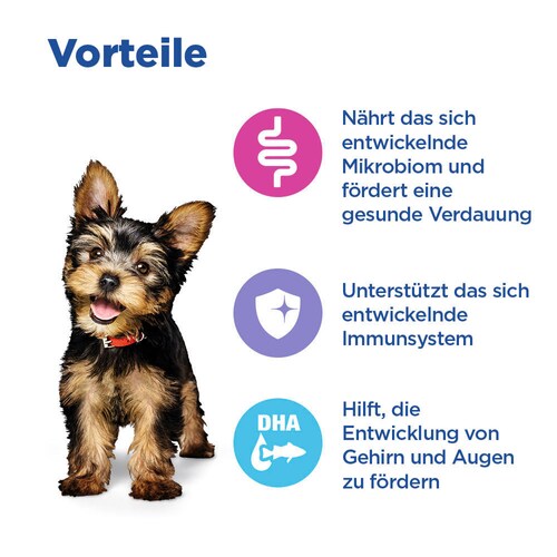 Hill's Multi-Benefit Small & Mini Puppy - Hund