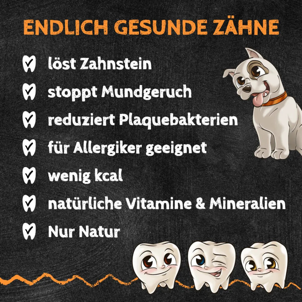 Sizzles - Hund