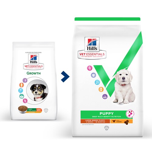Hill's Multi-Benefit Large Puppy - Hund