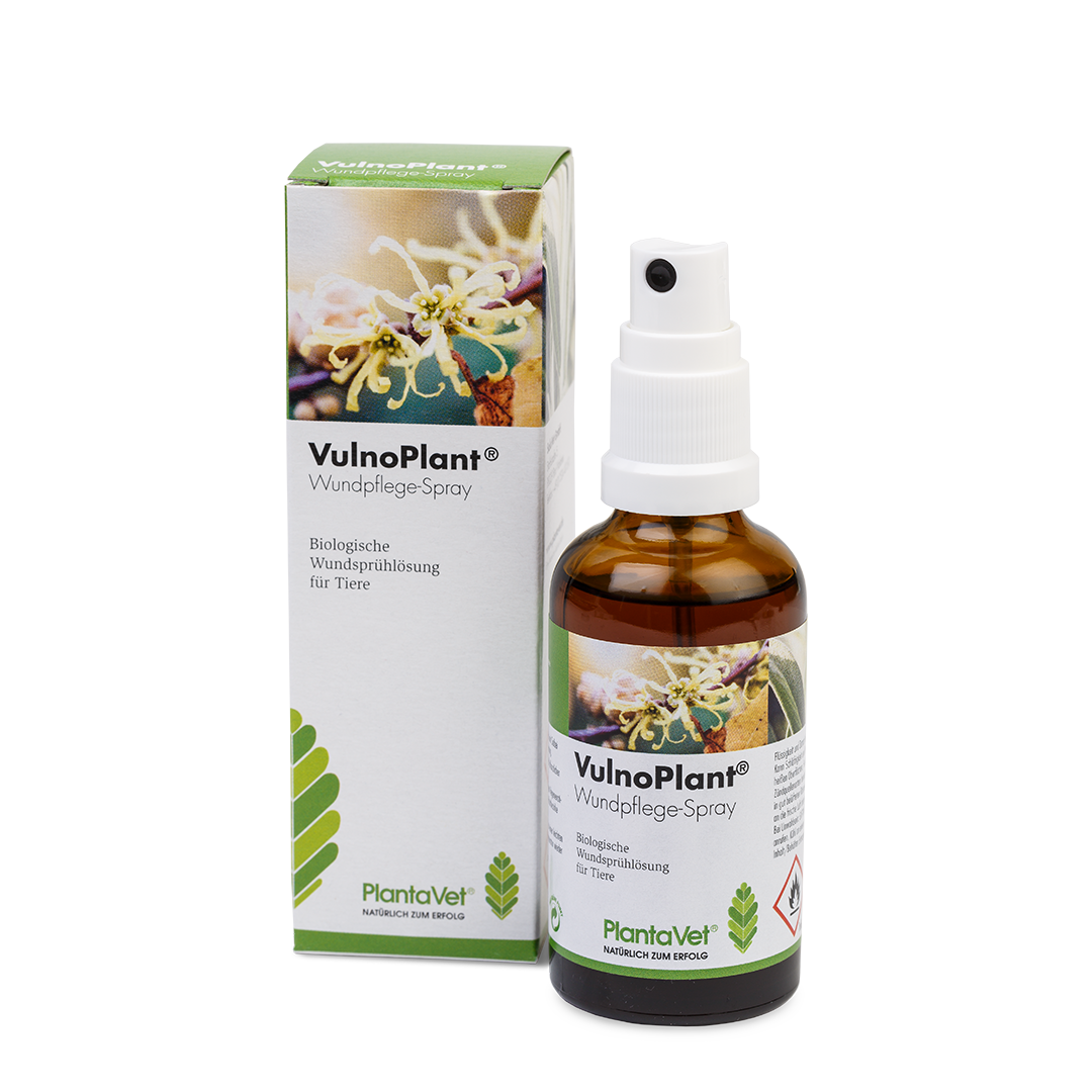 VulnoPlant Wundspray - Hund/Katze