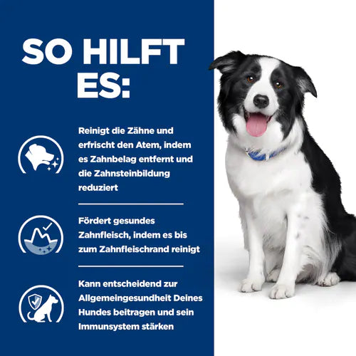 Hill's t/d Dental Care - Hund