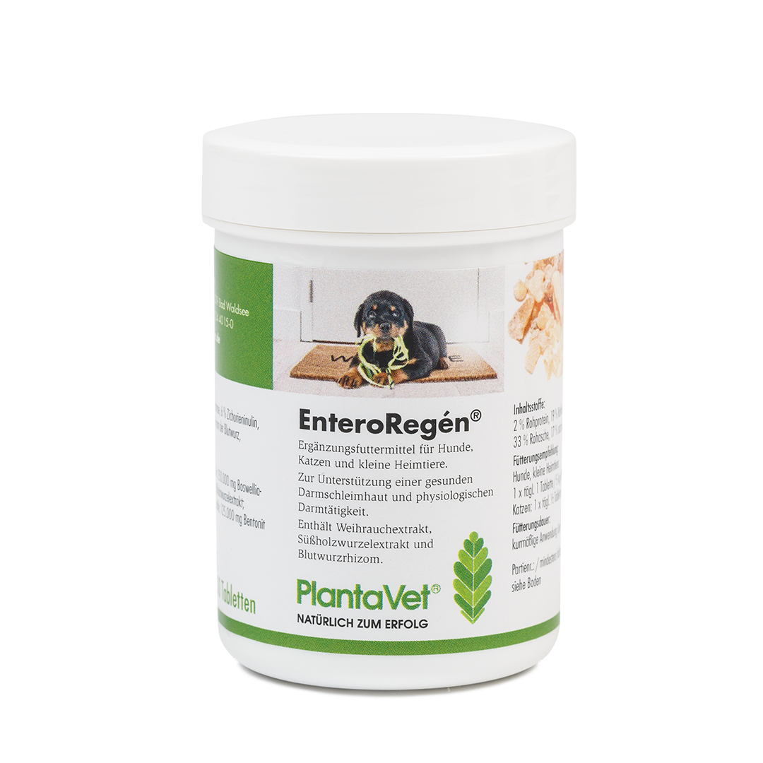EnteroRegén Tabletten - Katze/Hund