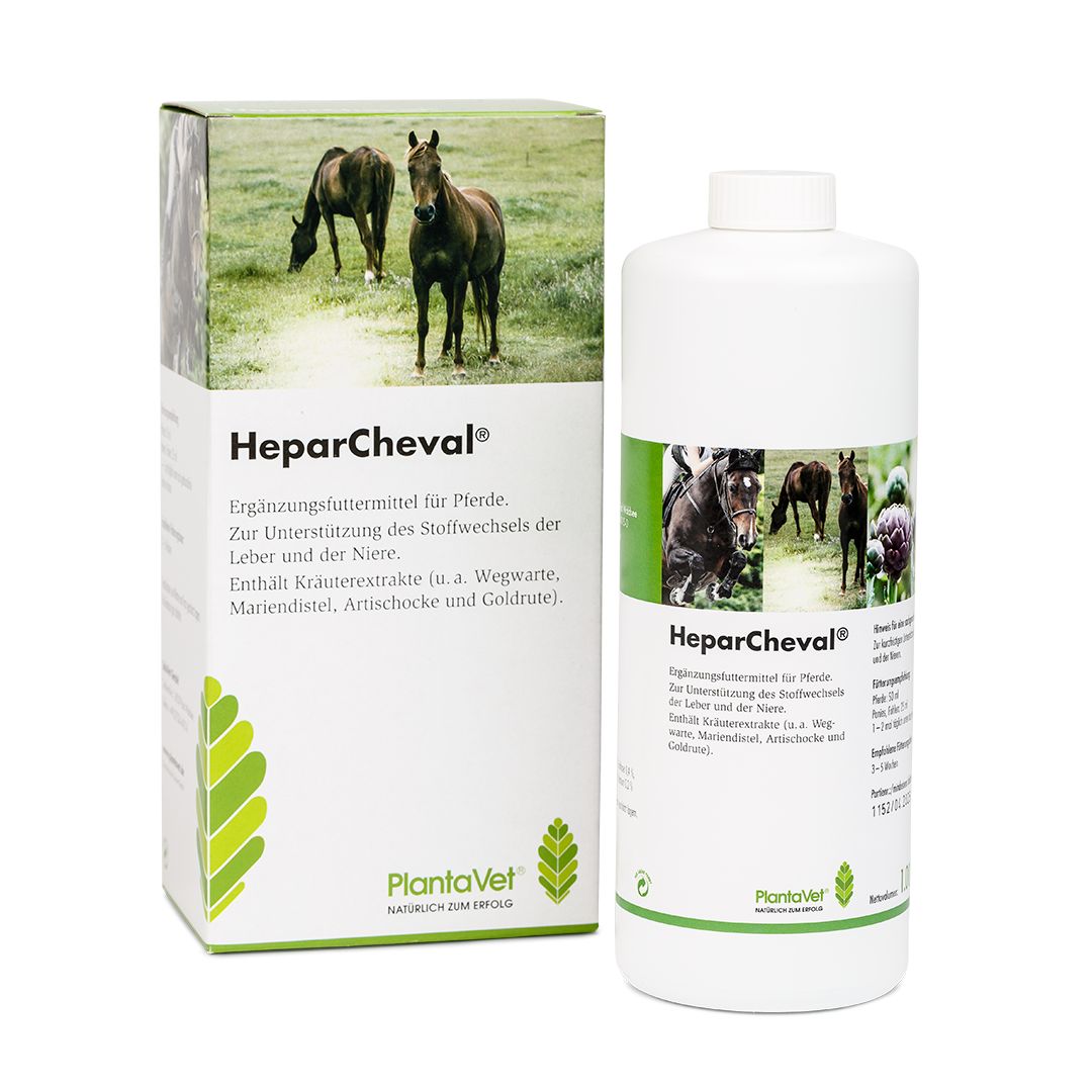 HeparCheval Flasche - Pferd
