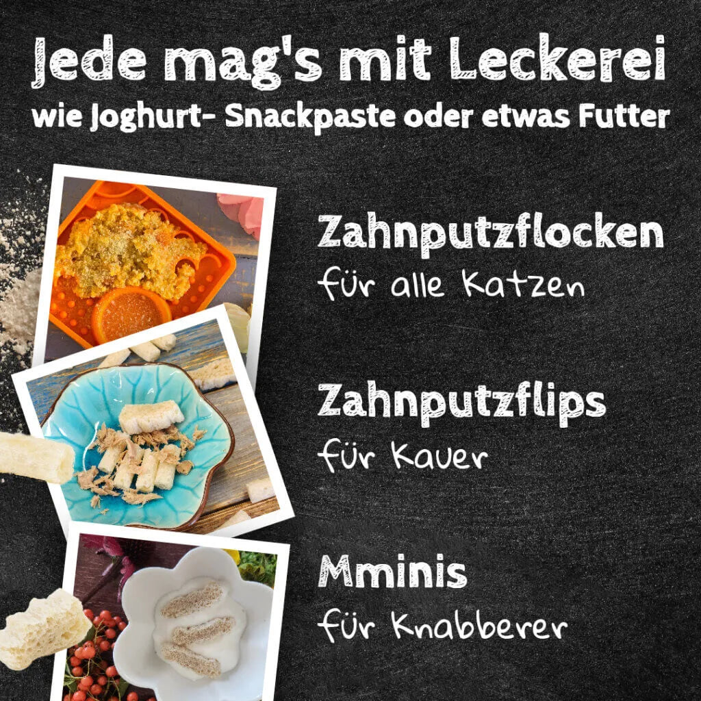Zahnputzflocken - Katze