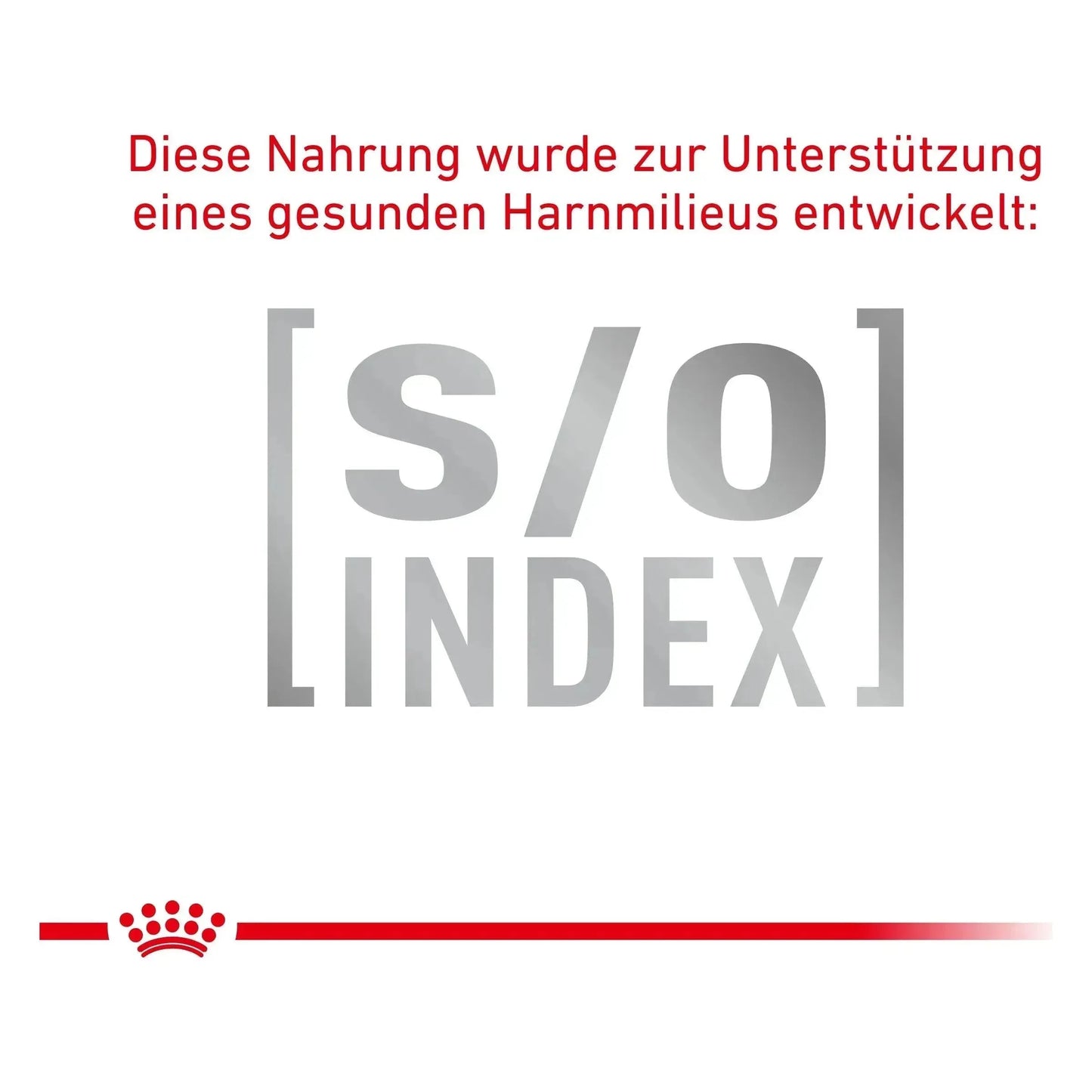 Royal Canin Anallergenic - Katze - Royal Canin Veterinary Diet - Marigin AG Onlineshop für Tierbedarf Royal Canin Anallergenic - Katze - 2kg Futter