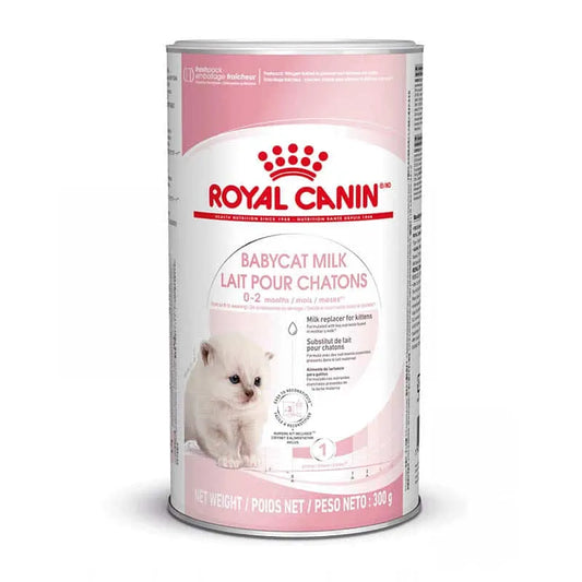 Royal Canin Babycat milk Katzenwelpen - Pulver - Royal Canin Veterinary Diet - Marigin AG Onlineshop für Tierbedarf Royal Canin Babycat milk Katzenwelpen - Pulver - Milchpulver / 3 x 100g Futter