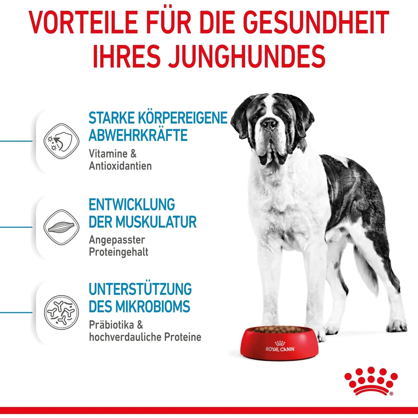 Royal Canin - Giant Junior - Hund - Royal Canin Veterinary Care Nutrition - Marigin AG Onlineshop für Tierbedarf Royal Canin - Giant Junior - Hund - Default Title Futter