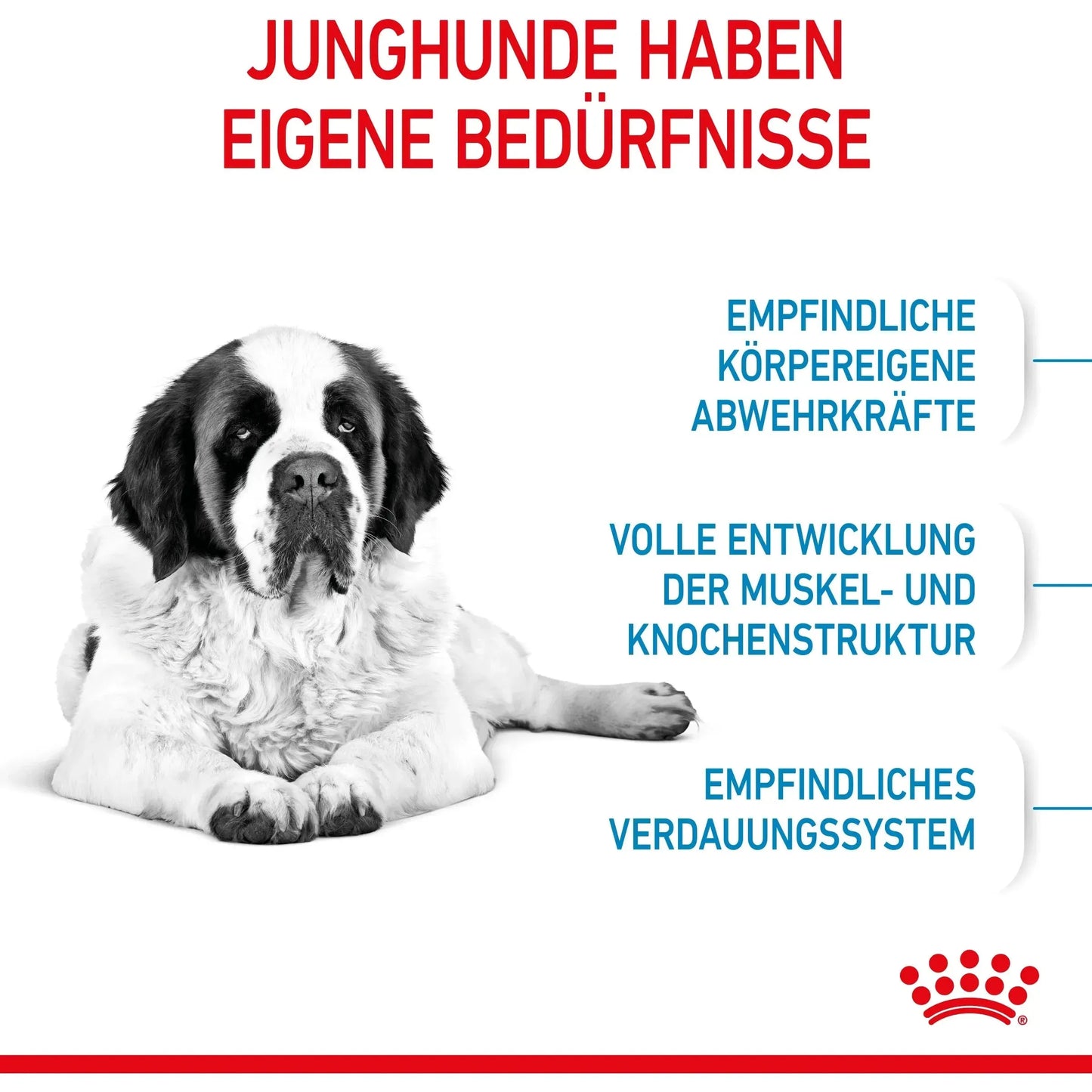 Royal Canin - Giant Junior - Hund - Royal Canin Veterinary Care Nutrition - Marigin AG Onlineshop für Tierbedarf Royal Canin - Giant Junior - Hund - Default Title Futter