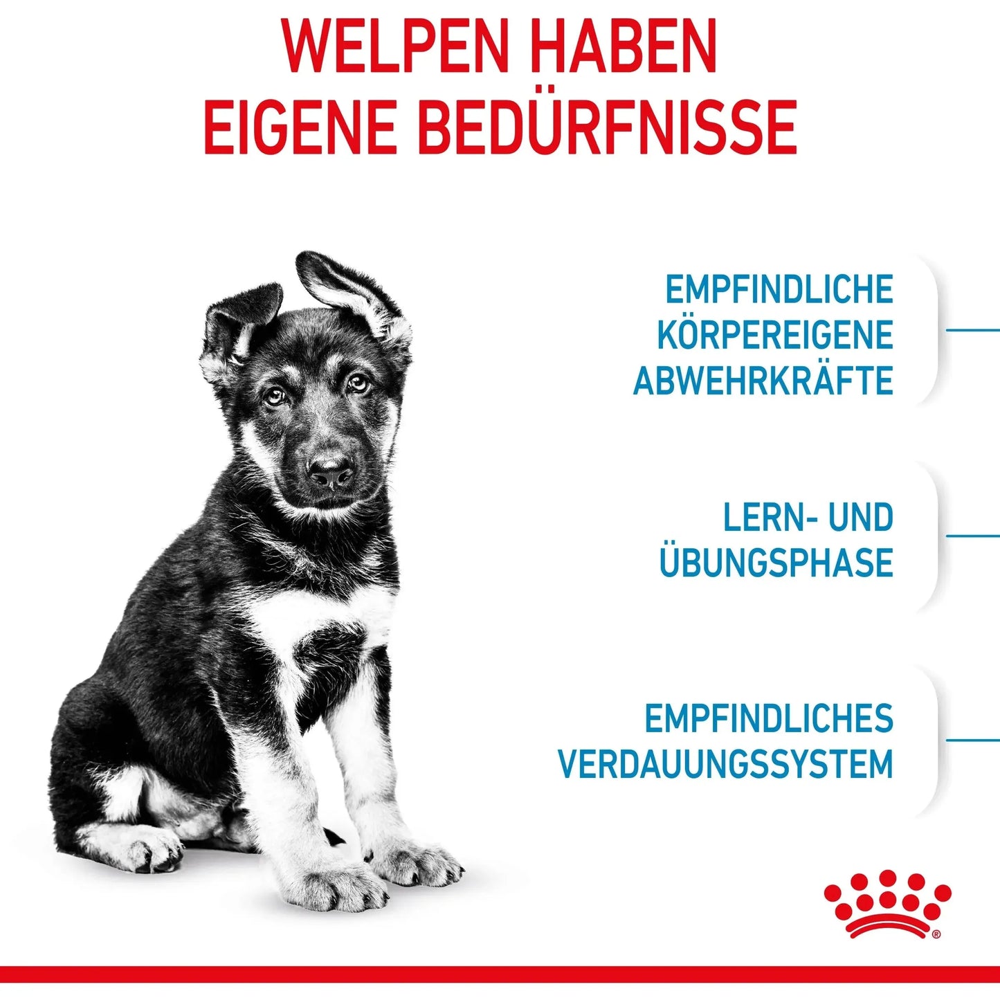 Royal Canin Maxi Puppy - Welpen - Royal Canin Veterinary Care Nutrition - Marigin AG Onlineshop für Tierbedarf Royal Canin Maxi Puppy - Welpen - 4kg Futter