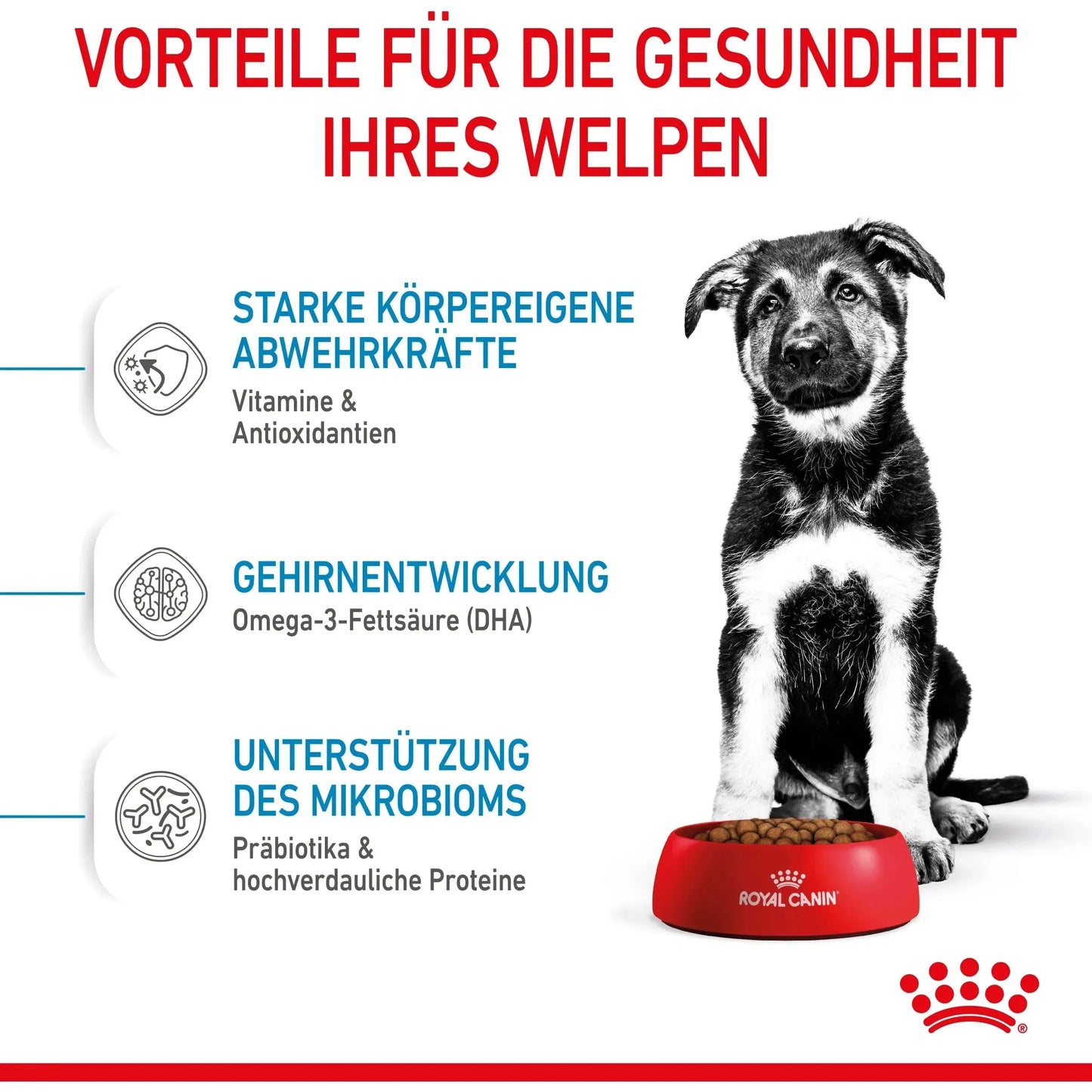 Royal Canin Maxi Puppy - Welpen - Royal Canin Veterinary Care Nutrition - Marigin AG Onlineshop für Tierbedarf Royal Canin Maxi Puppy - Welpen - 4kg Futter