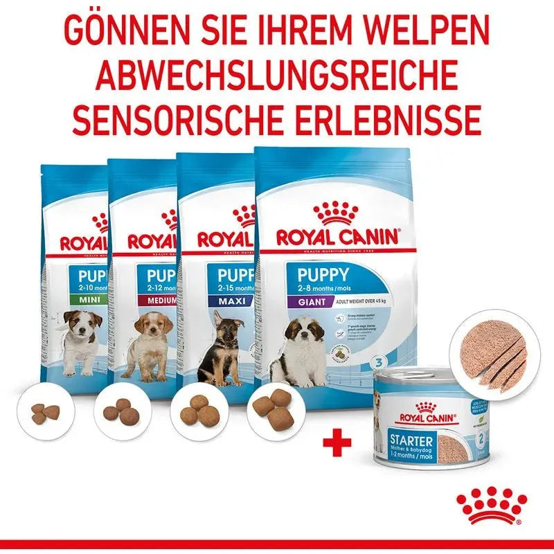 Royal Canin Starter Ultra Soft Hund - Dose - Royal Canin - Marigin AG Onlineshop für Tierbedarf Royal Canin Starter Ultra Soft Hund - Dose - 1 x 195g Futter