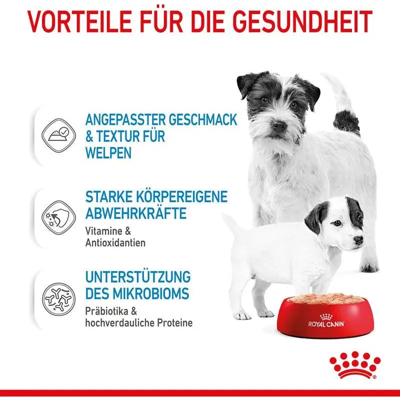 Royal Canin Starter Ultra Soft Hund - Dose - Royal Canin - Marigin AG Onlineshop für Tierbedarf Royal Canin Starter Ultra Soft Hund - Dose - 1 x 195g Futter