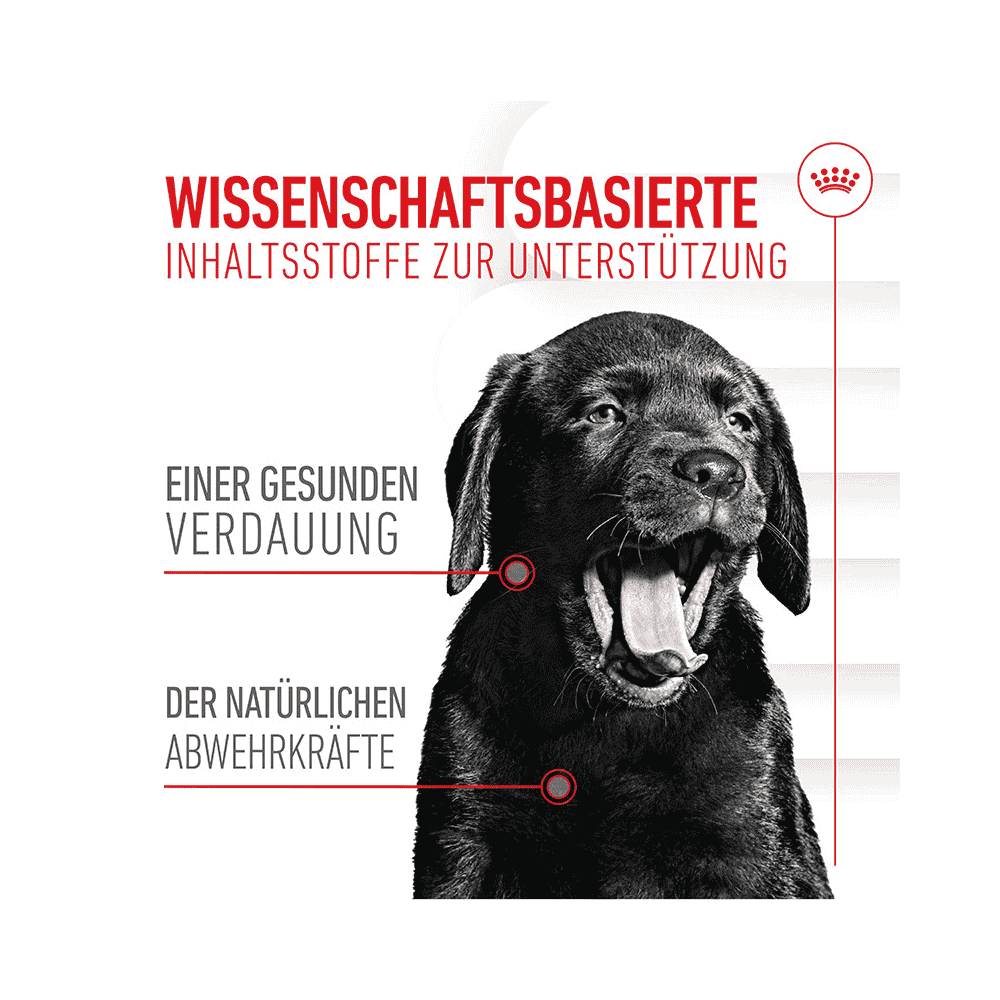 Royal Canin Immunity & Digestion Chews Puppy - Hund