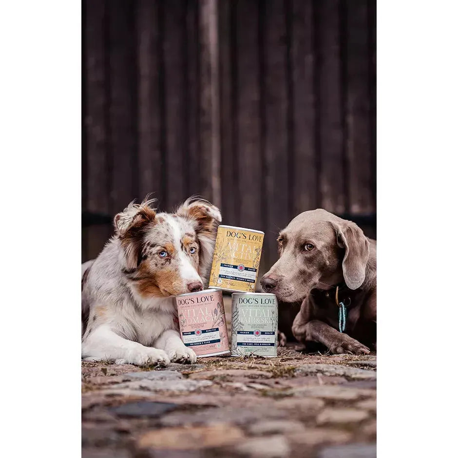 Vital+ Active Hund - Pulver - Dog's Love - Marigin AG Onlineshop für Tierbedarf Vital+ Active Hund - Pulver - 500 g Ergänzungsfuttermittel