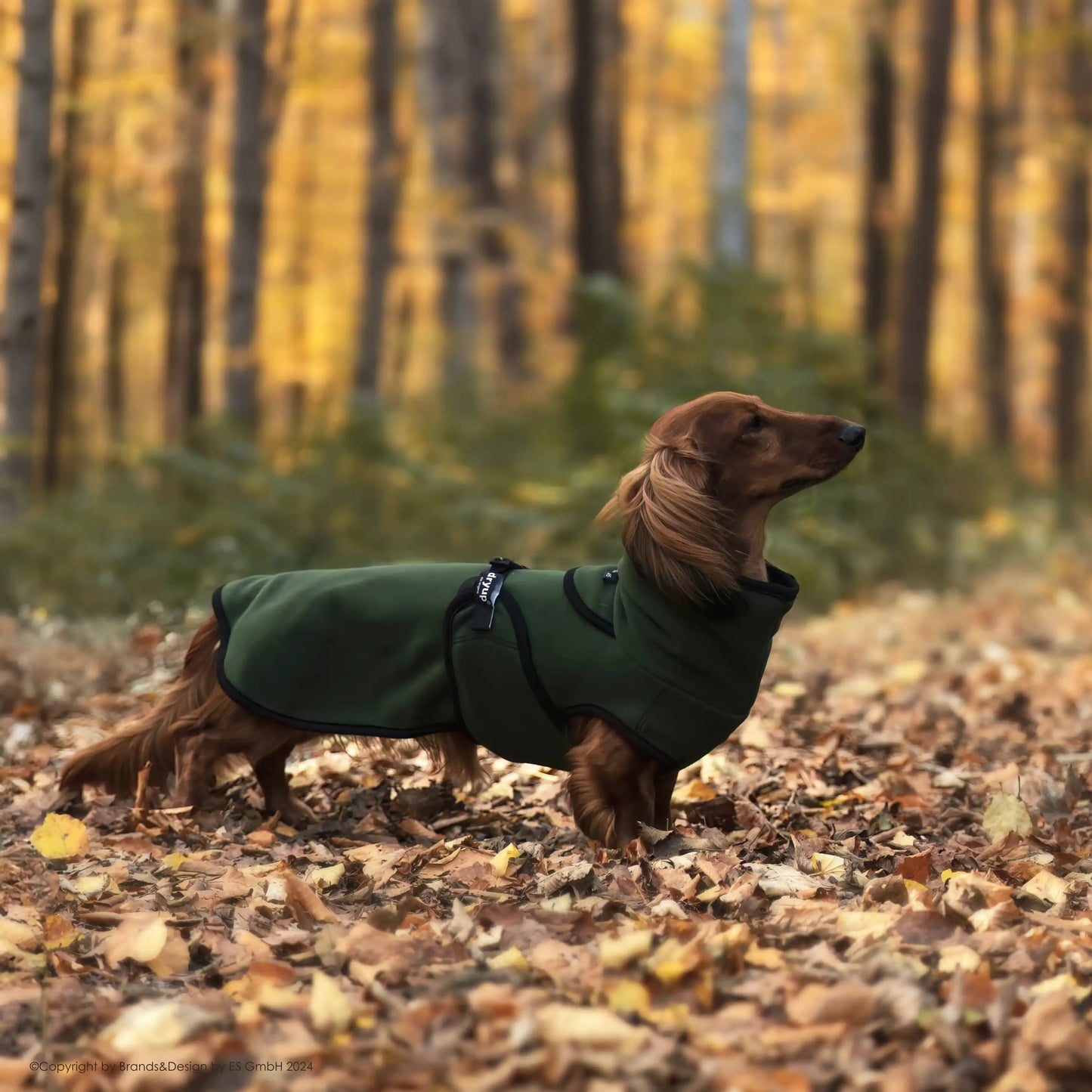 Warmover Cape MINI & DACKEL - Fleece - Action Factory - Marigin AG Onlineshop für Tierbedarf Warmover Cape MINI & DACKEL - Fleece - Dackel / 30 cm / Pine Green Mantel