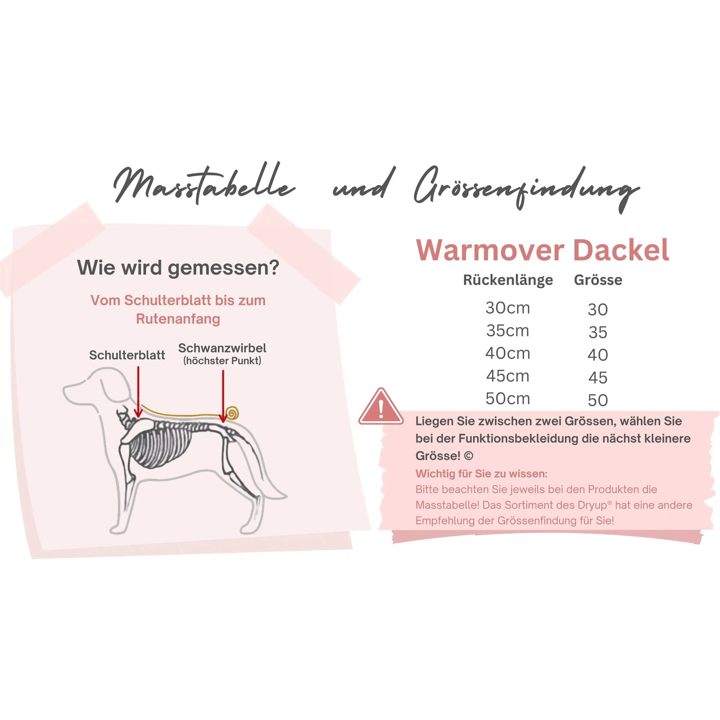 Warmover Cape MINI & DACKEL - Fleece - Action Factory - Marigin AG Onlineshop für Tierbedarf Warmover Cape MINI & DACKEL - Fleece - Mini / 30 cm / Camouflage Mantel