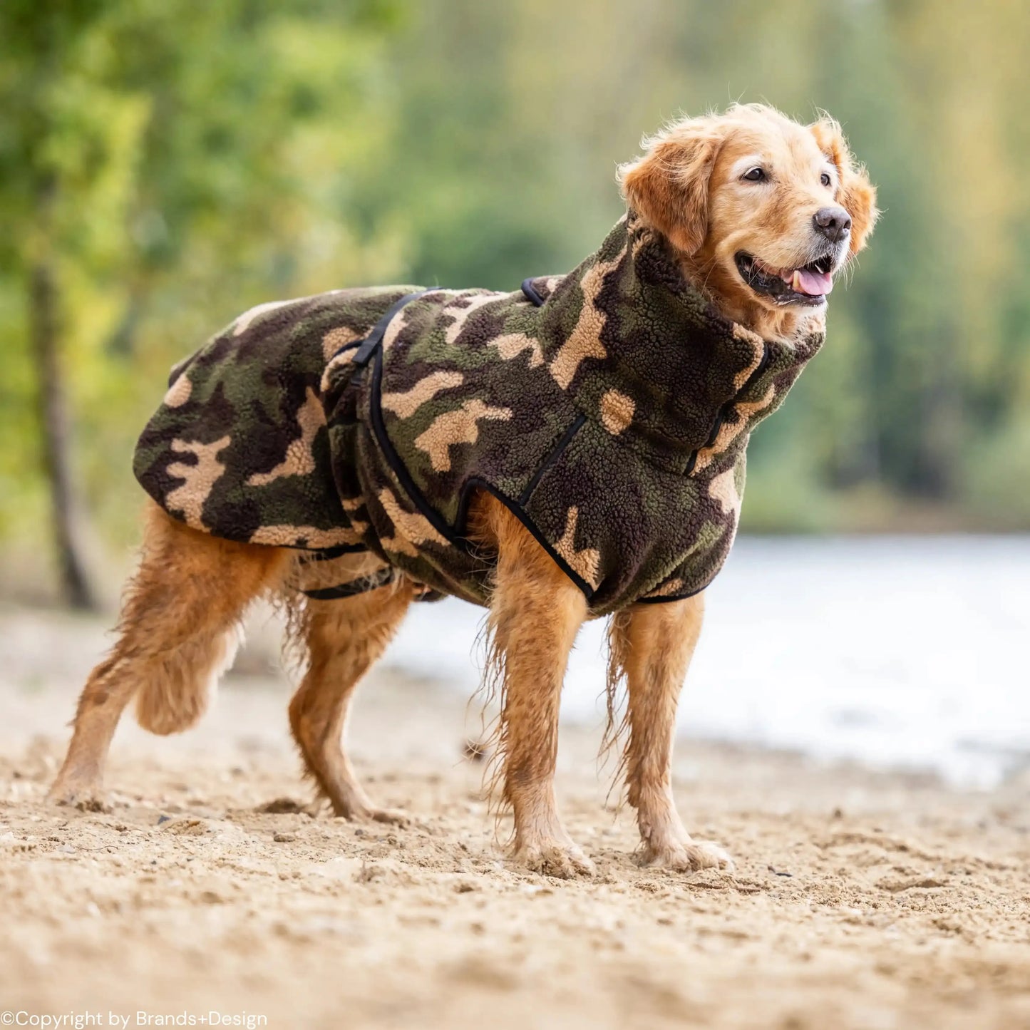 Warmover Cape STANDARD & BIG - Fleece - Action Factory - Marigin AG Onlineshop für Tierbedarf Warmover Cape STANDARD & BIG - Fleece - Standard (XS - XXL) / XS / 51cm / Camouflage Mantel
