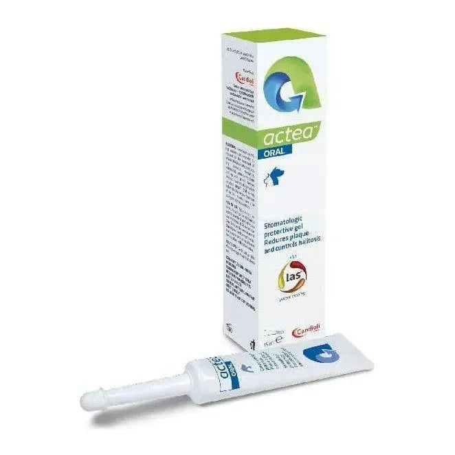 Actea Oral - Hund/Katze - Gel - Alfavet - Marigin AG Onlineshop für Tierbedarf Actea Oral - Hund/Katze - Gel - Gel / 15ml Pflegeprodukte