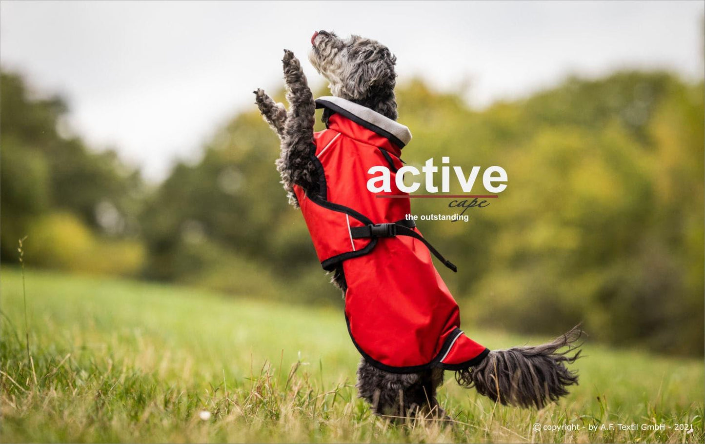 Active Cape Light mini - Action Factory - Art:Wasser- und windabweisender Mantel, Art:wärmender Mantel, Tierart:Hund - Marigin AG Onlineshop für Tierbedarf