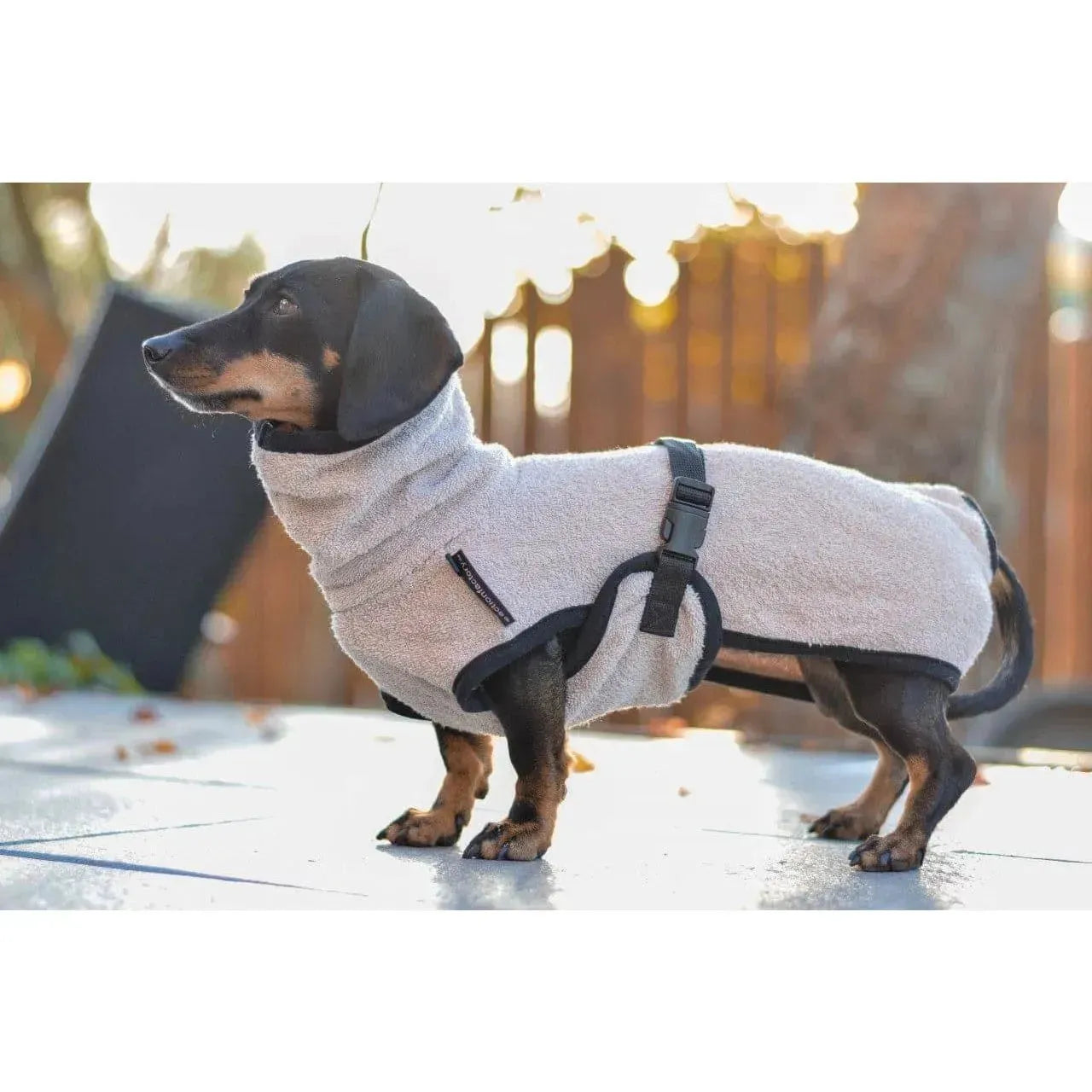 Action Factory - 30cm / sand - Dryup Cape Dackel - Marigin AG Onlineshop für Tierbedarf