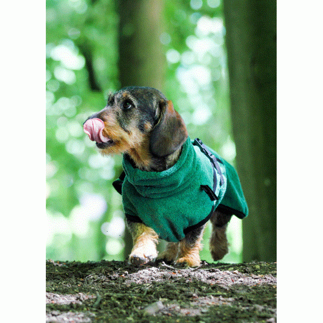 Action Factory - 30cm / dark green - Dryup Cape Dackel - Marigin AG Onlineshop für Tierbedarf