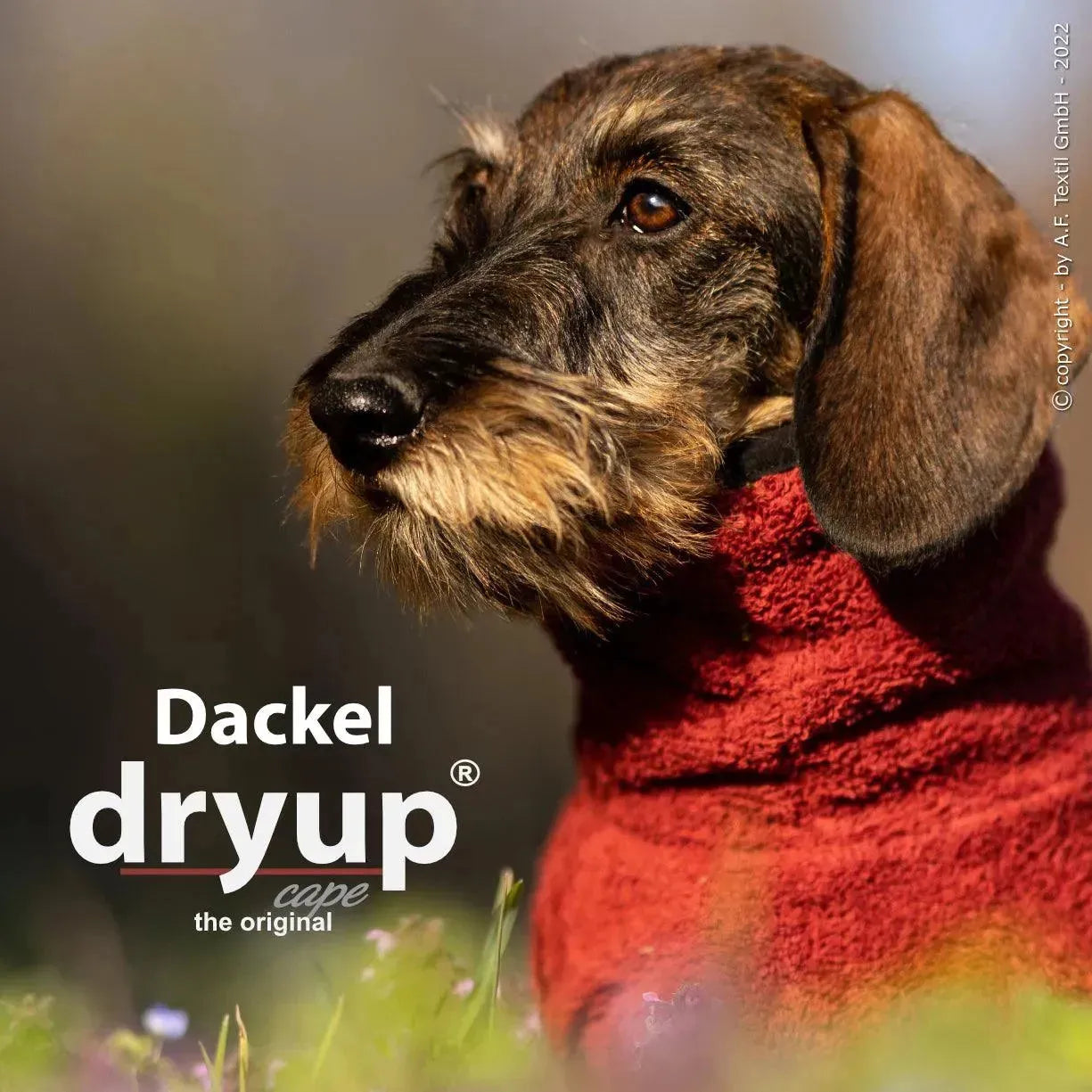 Action Factory - 30cm / bordeaux - Dryup Cape Dackel - Marigin AG Onlineshop für Tierbedarf