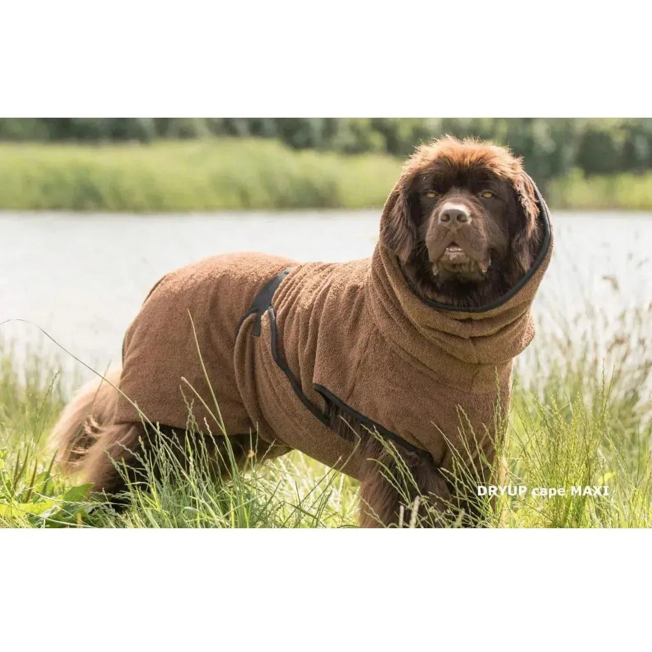 Action Factory - XXL+ / braun - Dryup Cape Maxi & GIGA - Marigin AG Onlineshop für Tierbedarf