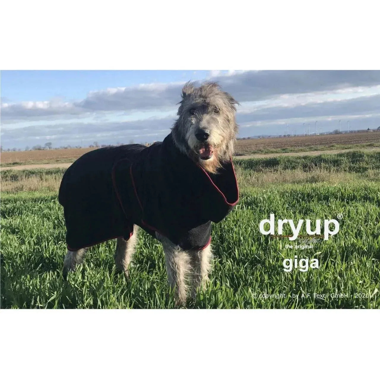 Action Factory - GIGA / schwarz - Dryup Cape Maxi & GIGA - Marigin AG Onlineshop für Tierbedarf