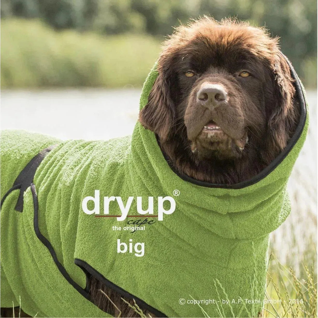 Action Factory - XXL+ / kiwi - Dryup Cape Maxi & GIGA - Marigin AG Onlineshop für Tierbedarf